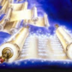 Meet your Posher, Ken